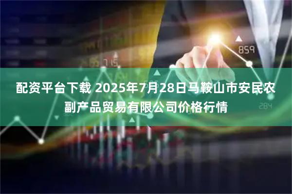 配资平台下载 2025年7月28日马鞍山市安民农副产品贸易有限公司价格行情